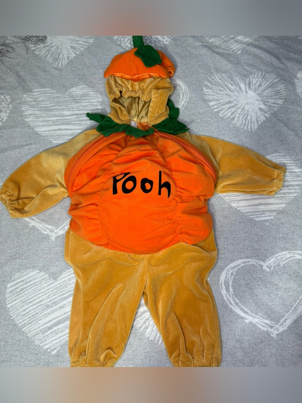 Vintage Winnie The Pooh Bear Pumpkin Costume